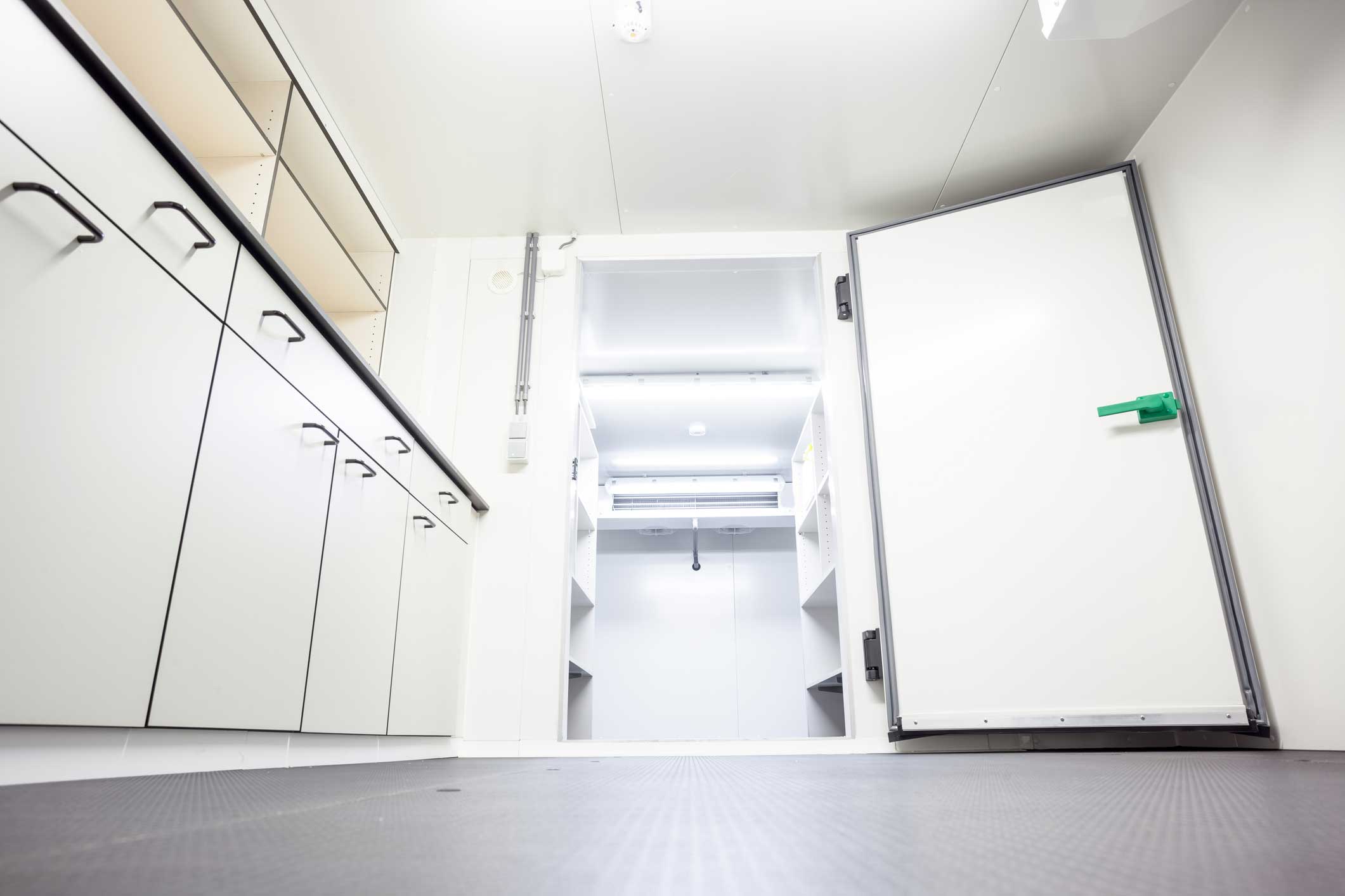 Industrial-Freezer