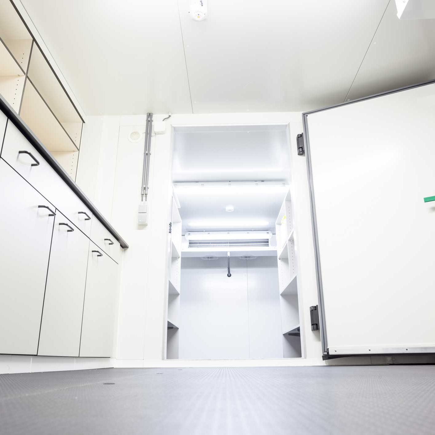 Industrial-Freezer